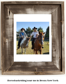 horseback riding near me in Bronx, New York